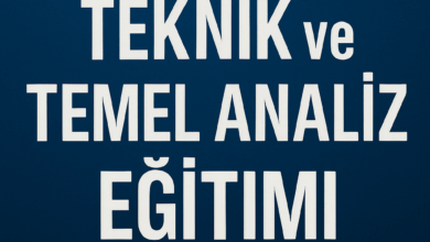 teknik ve temel analiz eğitimi